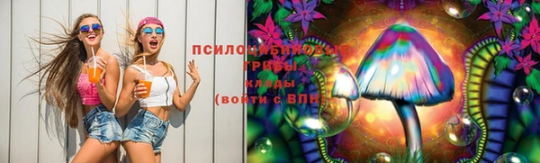 молекула духа Арсеньев