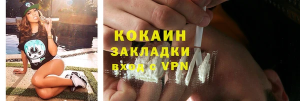 молекула духа Арсеньев