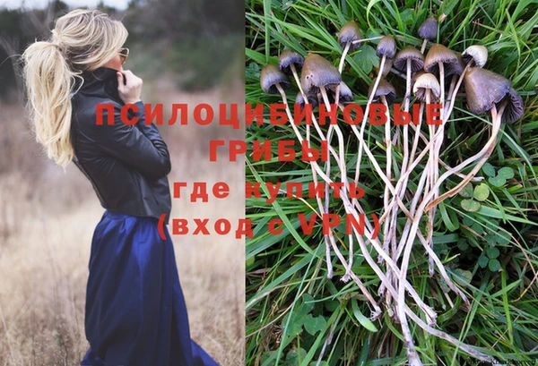 мяу мяу мука Дмитриев
