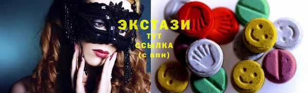 молекула духа Арсеньев