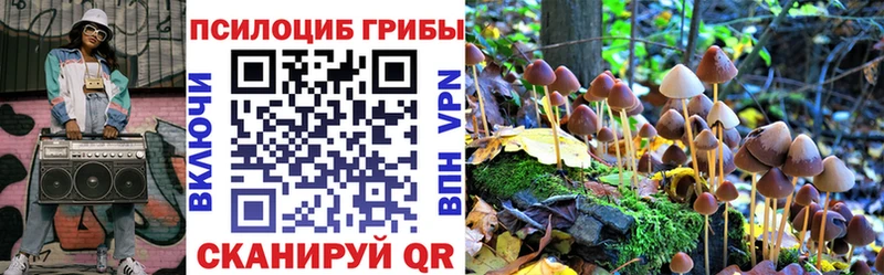 Псилоцибиновые грибы Cubensis  наркотики  Бологое 